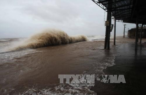 越南2019年第五号台风或变强 在广义至庆和省登陆 ảnh 2 越南2019年第五号台风或变强 在广义至庆和省登陆 ảnh 2