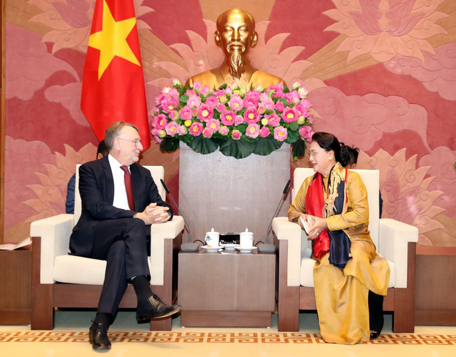 国会主席阮氏金银会见欧洲议会国际贸易委员会主席博纳·兰格 ảnh 1