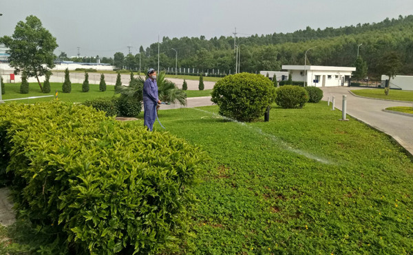 永福省各工业区打造绿色生态家园 ảnh 1 永福省各工业区打造绿色生态家园 ảnh 1