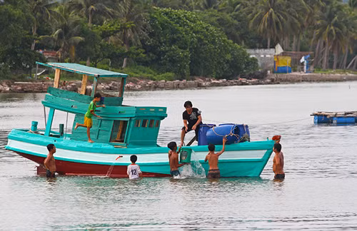 越南富国岛——蓝天碧海、阳光沙滩 ảnh 5