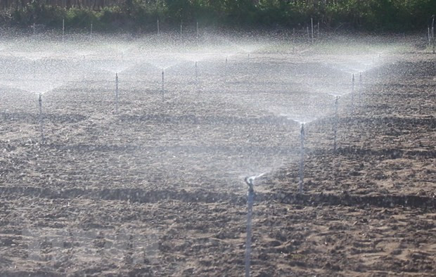 吸引合作伙伴,共同发展可持续农业和培养知识型农民 ảnh 1 吸引合作伙伴,共同发展可持续农业和培养知识型农民 ảnh 1