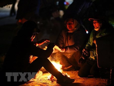 让爱心传递 为流浪者送去冬日温暖 ảnh 1 让爱心传递 为流浪者送去冬日温暖 ảnh 1