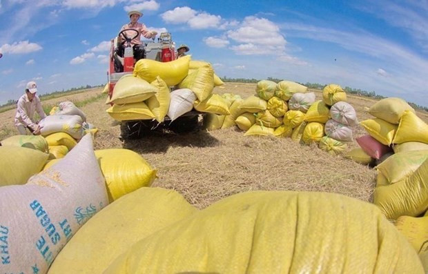 CIEM：2021年越南经济增长增长较为乐观 ảnh 3