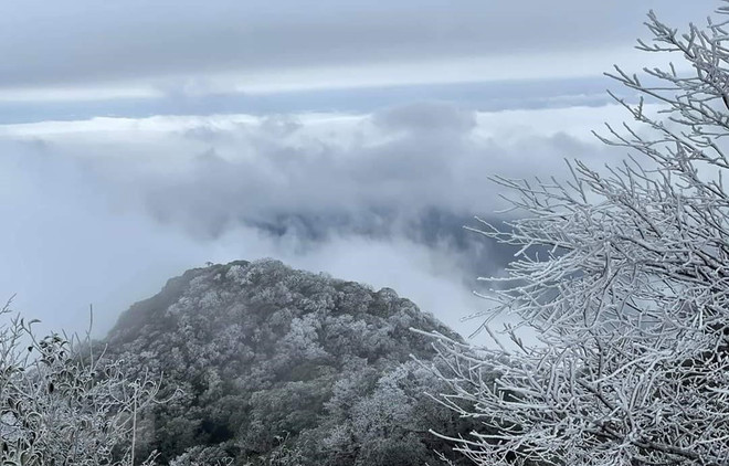 北部山区多地雪白“仙境”吸引大量游客前来参观 ảnh 1 北部山区多地雪白“仙境”吸引大量游客前来参观 ảnh 1