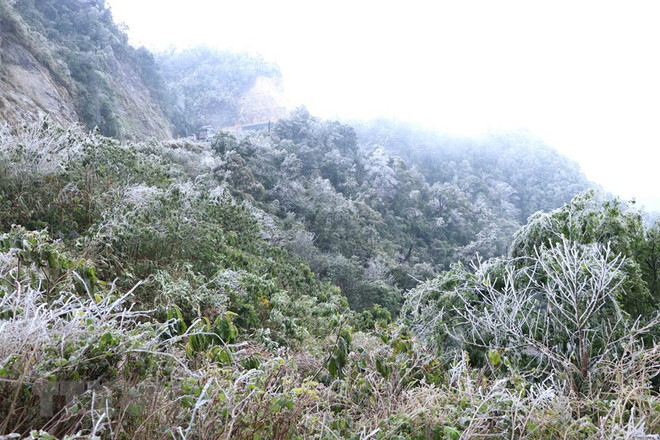 越南北部地区异常寒冷天气造成灾区严重损失 ảnh 1 越南北部地区异常寒冷天气造成灾区严重损失 ảnh 1