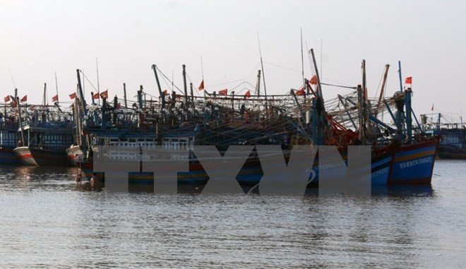 越通社简讯2017.12.24 ảnh 1