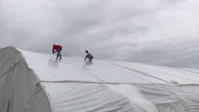 密切跟踪第十六号台风动态 最大限度减少台风造成的损失 ảnh 1