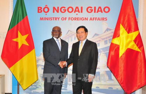 进一步加强越南与喀麦隆关系 ảnh 1