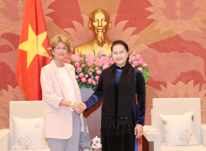 越南国会主席阮氏金银会见西班牙新任驻越南大使 ảnh 2 越南国会主席阮氏金银会见西班牙新任驻越南大使 ảnh 2