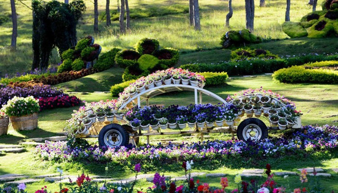 大叻艺术花空间 百花盛放、色彩缤纷 ảnh 1 大叻艺术花空间 百花盛放、色彩缤纷 ảnh 1