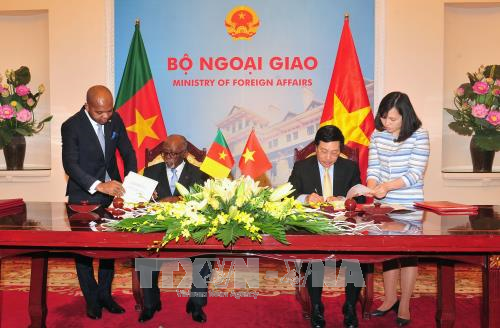 进一步加强越南与喀麦隆关系 ảnh 3