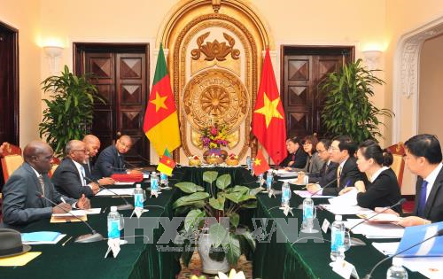 进一步加强越南与喀麦隆关系 ảnh 2