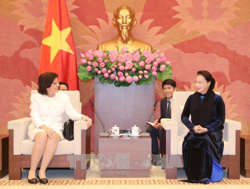 阮氏金银:古巴在经济模式“更新”中将取得更大的发展成就 ảnh 1 阮氏金银:古巴在经济模式“更新”中将取得更大的发展成就 ảnh 1