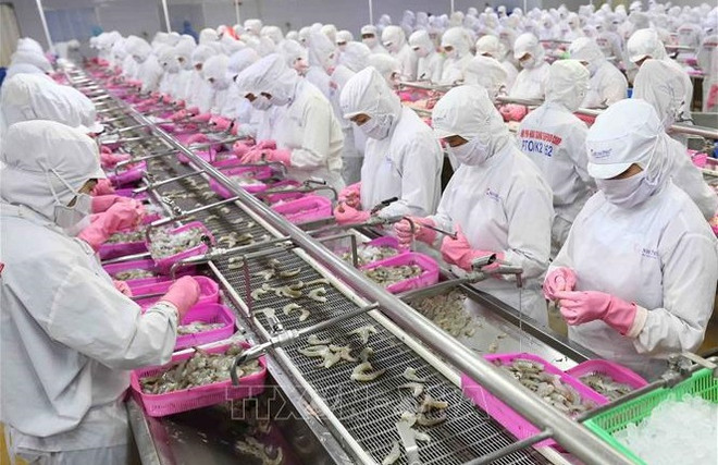 2021年前5月越南水产品出口增长14% ảnh 1 2021年前5月越南水产品出口增长14% ảnh 1