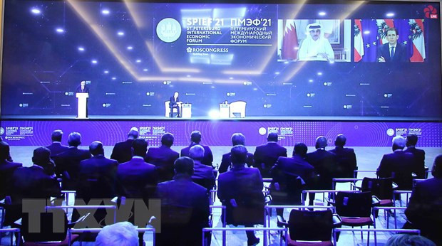 越南出席第24届圣彼得堡国际经济论坛 ảnh 1 越南出席第24届圣彼得堡国际经济论坛 ảnh 1