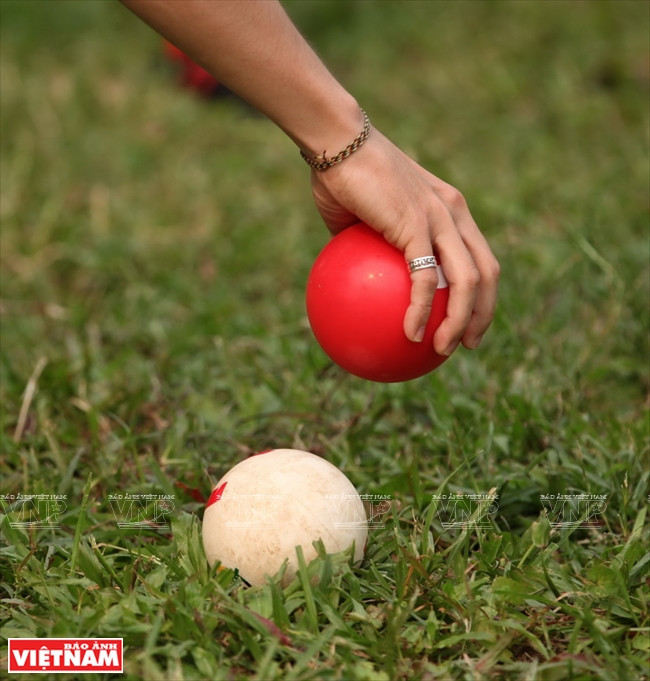 富有魅力的高智尔球 ảnh 8