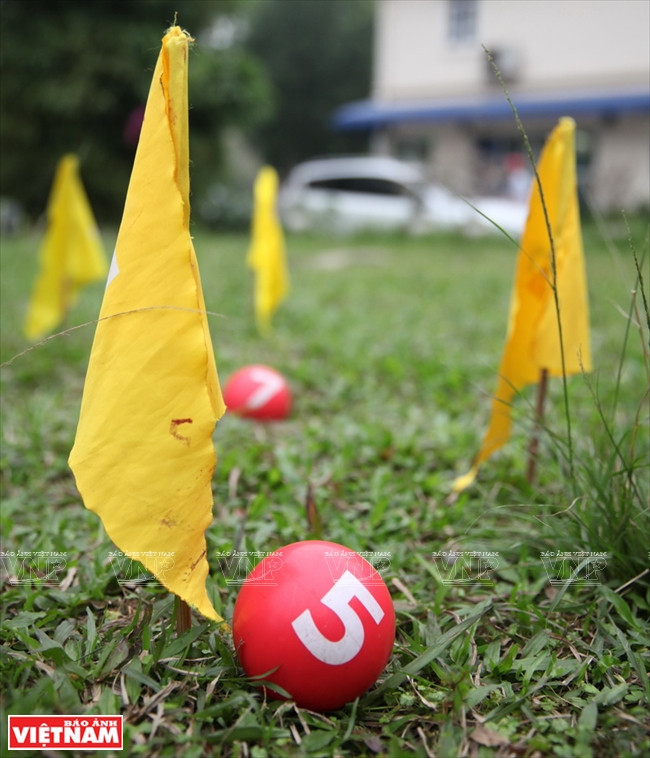 富有魅力的高智尔球 ảnh 6