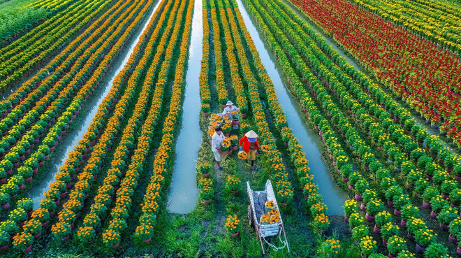 越南批准《2030年农村产业发展战略和2045年愿景》 ảnh 1