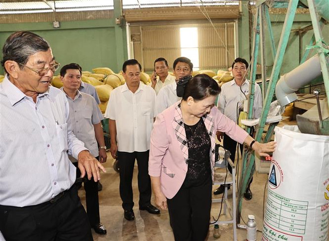 越南国会主席阮氏金银莅临朔庄省调研 ảnh 2 越南国会主席阮氏金银莅临朔庄省调研 ảnh 2