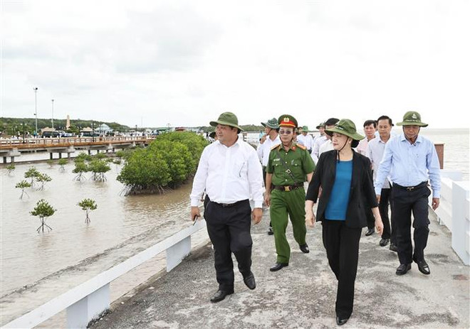 越南国会主席阮氏金银视察金瓯省 ảnh 1 越南国会主席阮氏金银视察金瓯省 ảnh 1