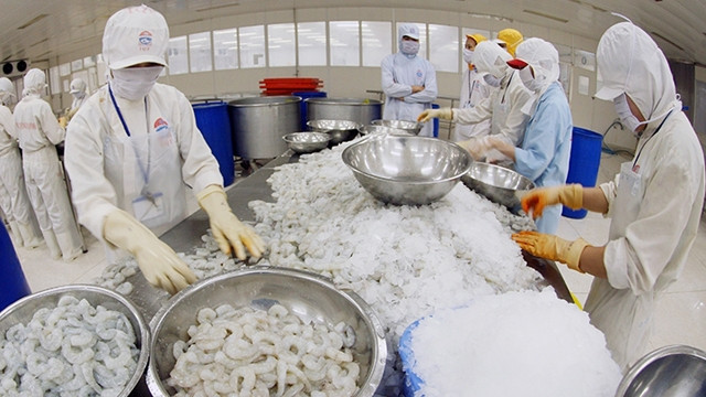 2020年前11个月坚江省出口总值完成既定计划的81.7％ ảnh 1