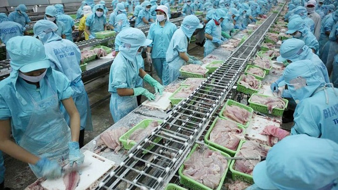 建立稳定出口市场的机会 ảnh 1 建立稳定出口市场的机会 ảnh 1