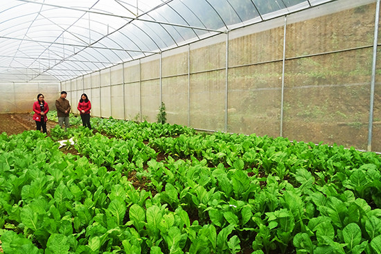 北江省集中将科技成果落地转化 推动经济社会向前发展 ảnh 1