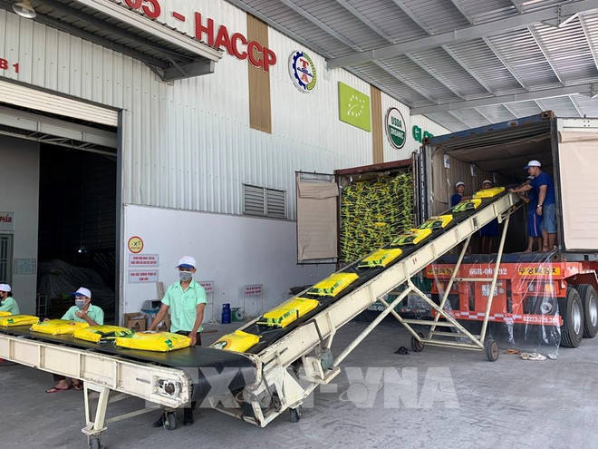 国际媒体对越南经济发展愿景持乐观预期 ảnh 1 国际媒体对越南经济发展愿景持乐观预期 ảnh 1