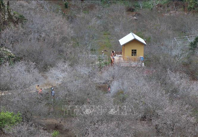 越南政府副总理批准《山罗省木州国家旅游区建设总体规划》 ảnh 2 越南政府副总理批准《山罗省木州国家旅游区建设总体规划》 ảnh 2