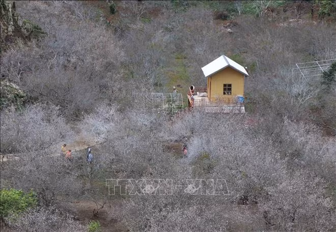 越南政府副总理批准《山罗省木州国家旅游区建设总体规划》 ảnh 2 越南政府副总理批准《山罗省木州国家旅游区建设总体规划》 ảnh 2