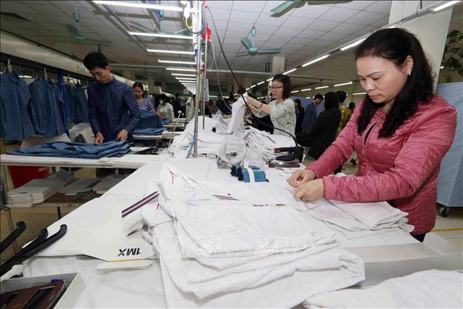 2019年1月份越南货物进出口额同比增长0.89% ảnh 1 2019年1月份越南货物进出口额同比增长0.89% ảnh 1