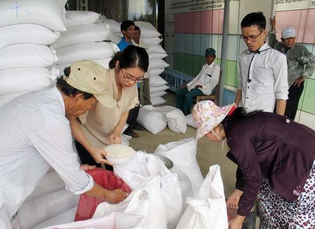 政府总理阮春福责成向各地方提供大米援助确保居民过好年 ảnh 1 政府总理阮春福责成向各地方提供大米援助确保居民过好年 ảnh 1