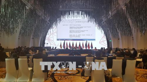 越通社简讯2017.2.5 ảnh 1