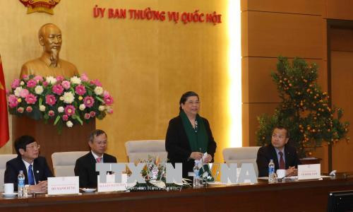 国会副主席丛氏放会见返乡过年的旅泰越南老教师代表团 ảnh 1 国会副主席丛氏放会见返乡过年的旅泰越南老教师代表团 ảnh 1