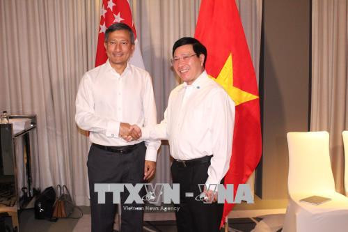 新加坡将协助越南制定产业转型路线图 ảnh 1