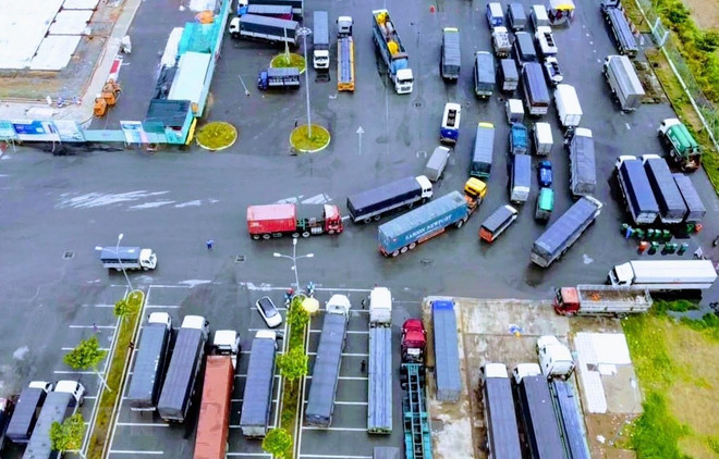 越南贸易、运输和旅游遭新冠疫情重创 ảnh 1