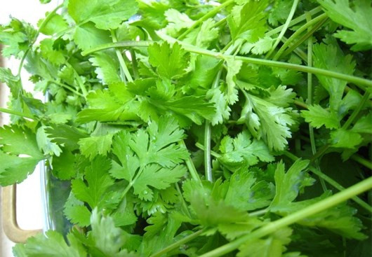 欧盟取消对部分越南香料和蔬菜的管制 ảnh 1