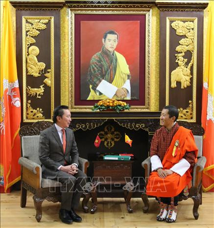 促进越南与不丹合作关系务实平稳发展 ảnh 1