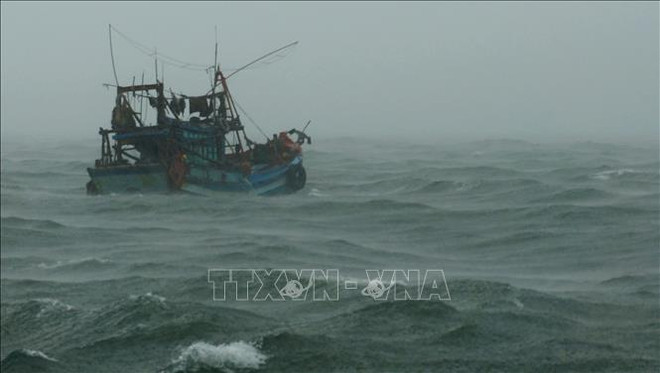 越通社简讯2019.1.2 ảnh 1