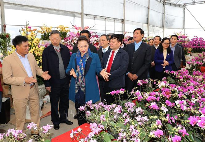 越南国会主席阮氏金银在兴安省新农村乡调研 ảnh 2 越南国会主席阮氏金银在兴安省新农村乡调研 ảnh 2