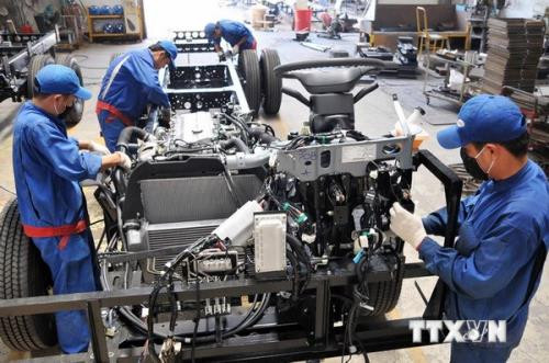 企业对2019年第一季度的经营生产活动持乐观态度 ảnh 1 企业对2019年第一季度的经营生产活动持乐观态度 ảnh 1