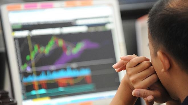 2018年12月份越南证券托管中心向206名外国投资者发放证券交易代码 ảnh 1