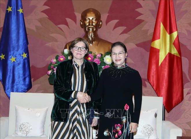 国会主席阮氏金银会见欧洲议会副议长海蒂 ảnh 1 国会主席阮氏金银会见欧洲议会副议长海蒂 ảnh 1