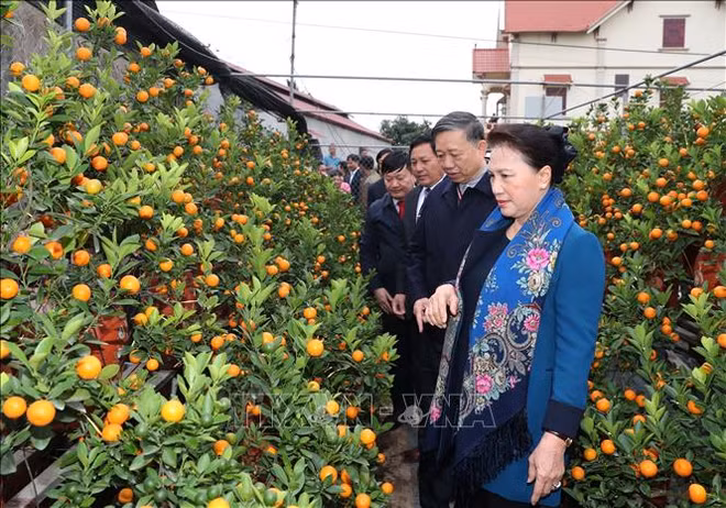 越南国会主席阮氏金银在兴安省新农村乡调研 ảnh 1
