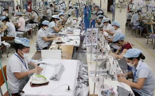 2019年预计越南对加拿大出口将猛增 ảnh 1