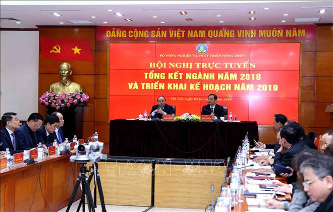 农业结构调整需与增长模式转变并行 ảnh 1