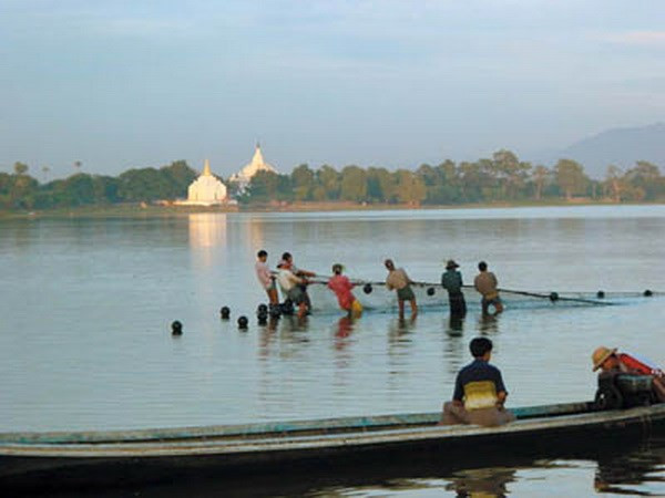 欧盟资助缅甸促进水产养殖业发展 ảnh 1 欧盟资助缅甸促进水产养殖业发展 ảnh 1