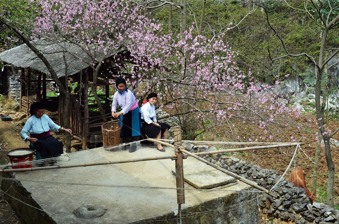 同文岩石高原原始雄伟的美 ảnh 2 同文岩石高原原始雄伟的美 ảnh 2