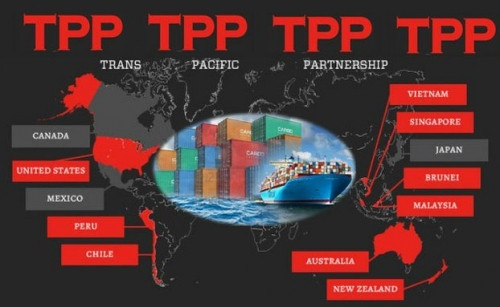 TPP为越南企业增长的助推器 ảnh 1 TPP为越南企业增长的助推器 ảnh 1