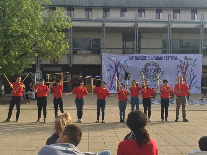 2015年越南文化节在澳大利亚开幕 ảnh 1